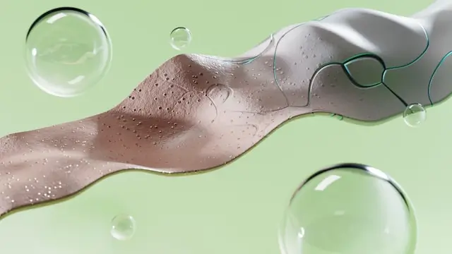 Abstract close-up illustration of collagen peptides and water molecules interacting with skin, representing how ingested collagen may be broken down into peptides and support fibroblast activity involved in skin collagen production.