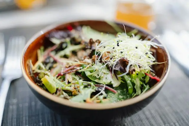 Fresh vegetable salad with leafy greens, sprouts, and colorful vegetables, illustrating a balanced DASH diet meal plan rich in nutrient-dense foods.